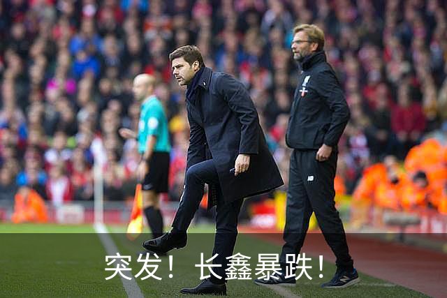 突发！长鑫暴跌！